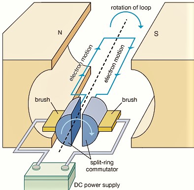 Working of DC Motor