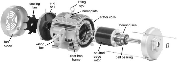 Inside view of an Induction motor