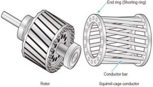 Single Phase Induction motor: Construction, Working & Starting methods