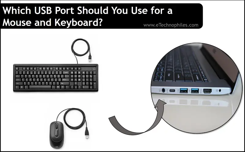 Which USB Port Should You Use for a Mouse? (Explained)
