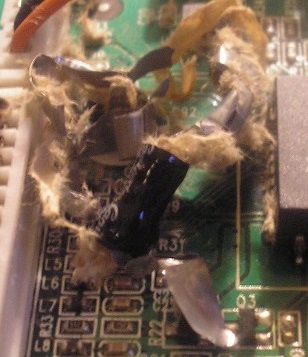 Electrolytic capacitor exploded due to reverse polarity connection