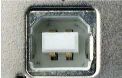 USB B port